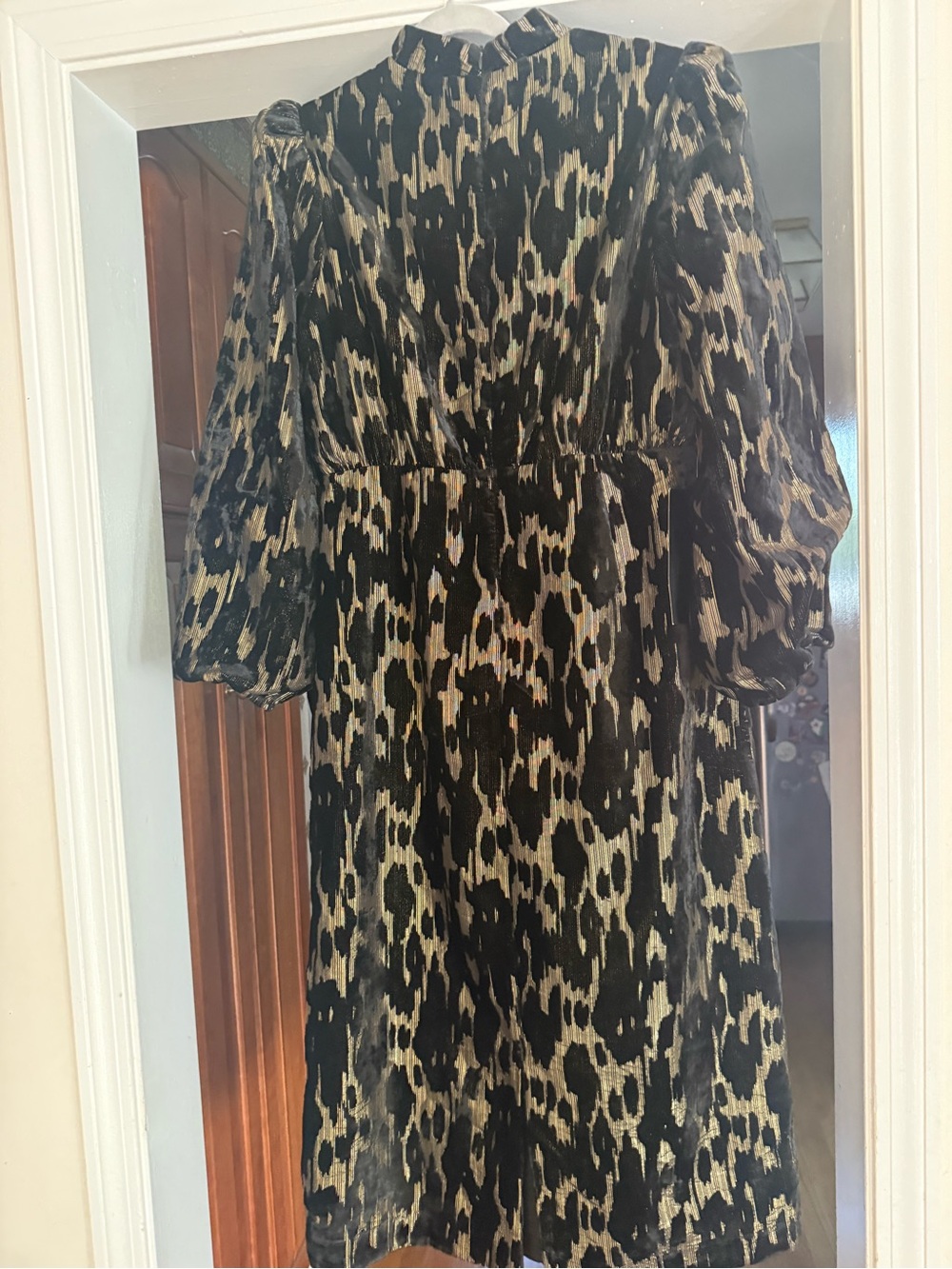 Pomander Place Black Velvet Burnout Dress with Gold Accent